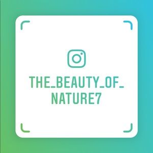 10% with follow on Instagram